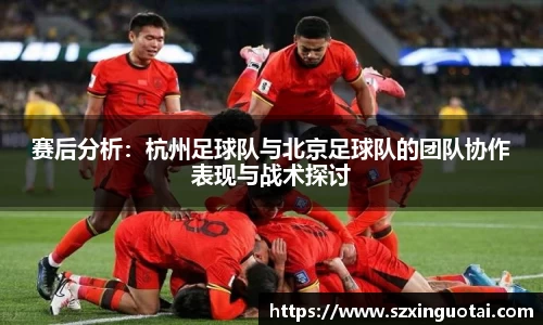 bsports官网入口