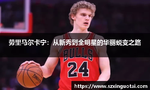 B体育官网