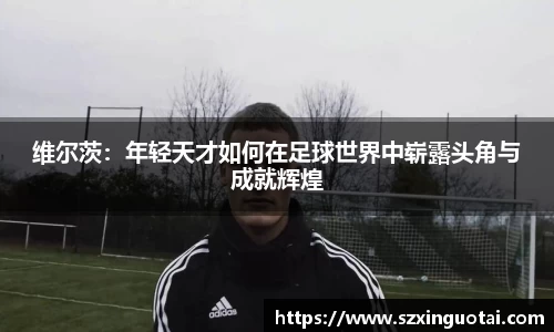 B体育bsports