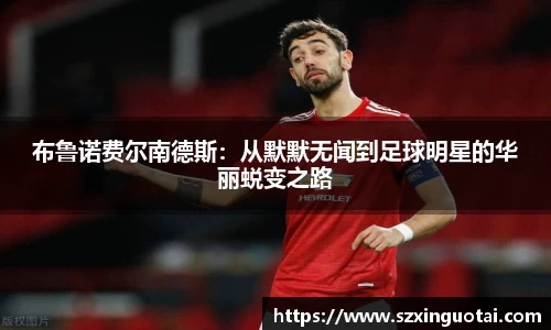 bsports官网入口